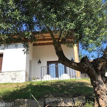 La Casina Del Olivo Villa Ribadesella Exterior photo